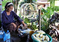 Spinning Silk For Production At Cotton and Silk Thailand